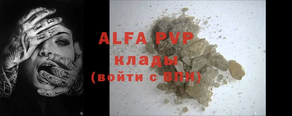 трава Белокуриха